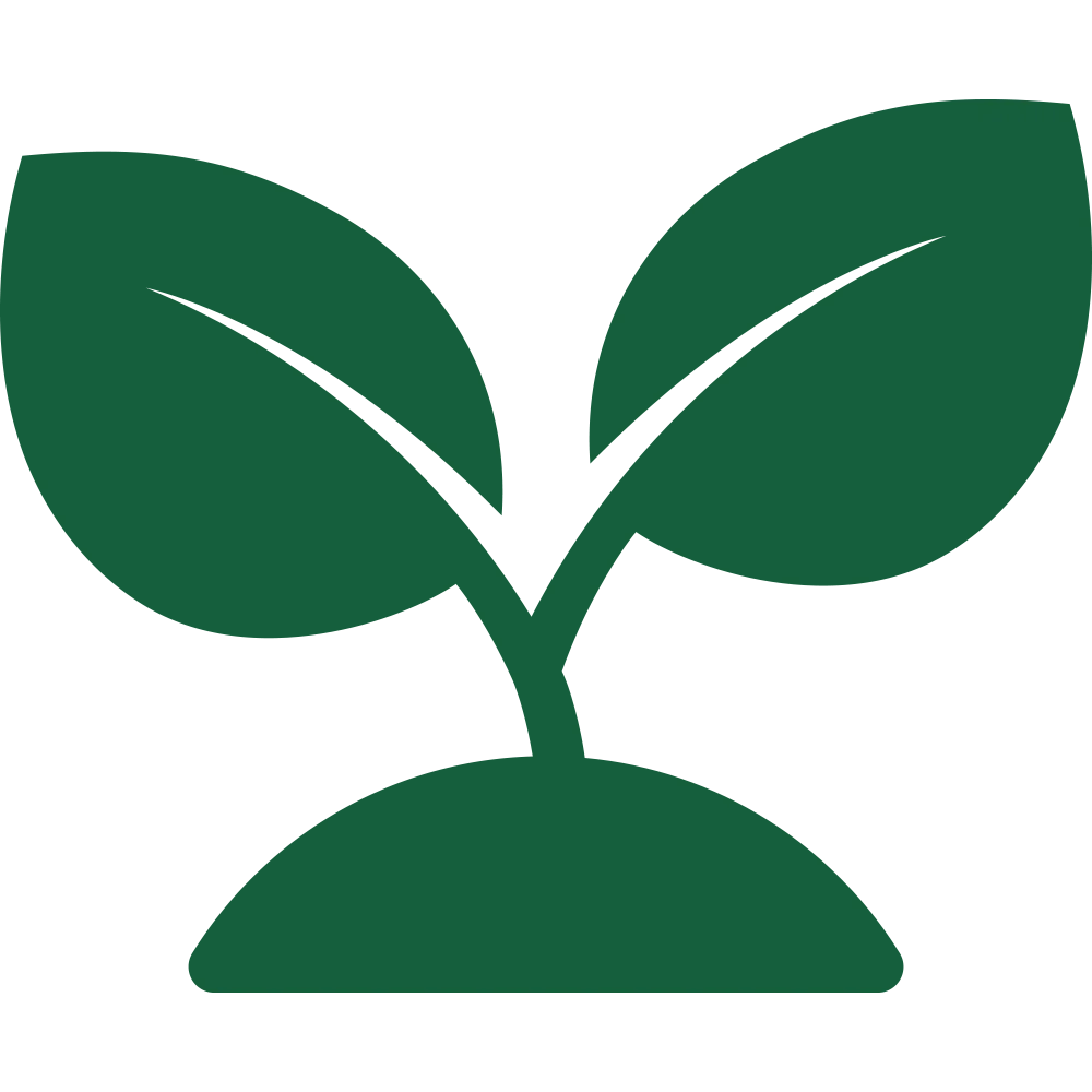 Scale Without Limits Scale Without Limits